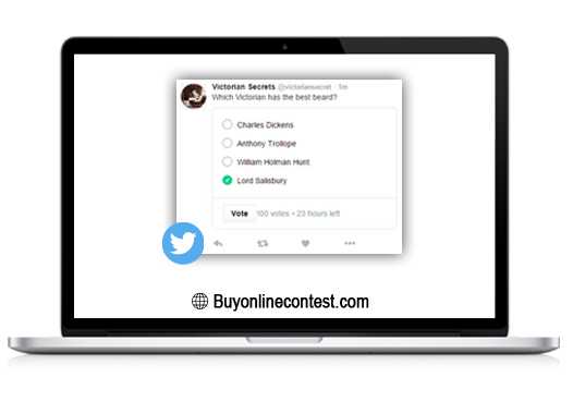 Buy Twitter Poll Vote